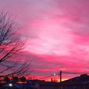 Meet your Posher, Dylan